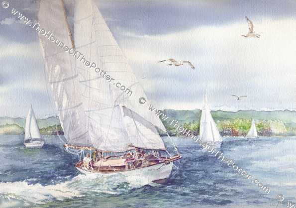 Bay Sail