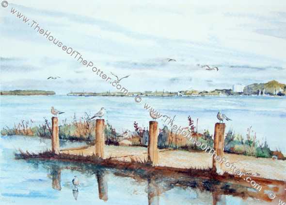 Gulls at Presque Isle Bay