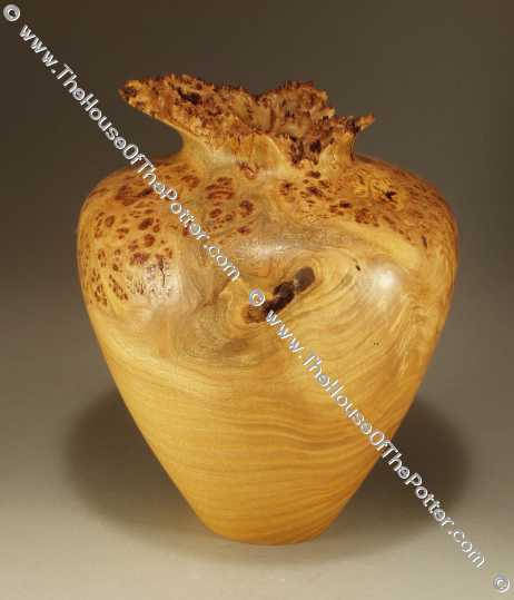 Small Elm Burl Vase