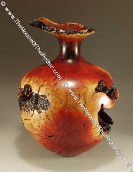 Medium Manzanita Burl Vase